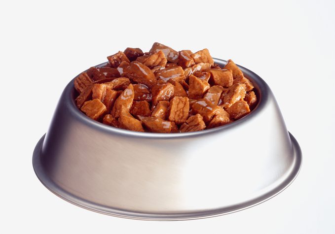 Dog food in bowl against white background