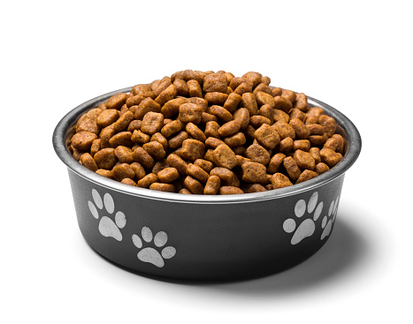 Bowl of Dog Food